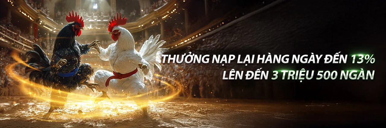 Đối tác K9CC Trang Chủ Chính Thức 2026 - Hợp tác thành công